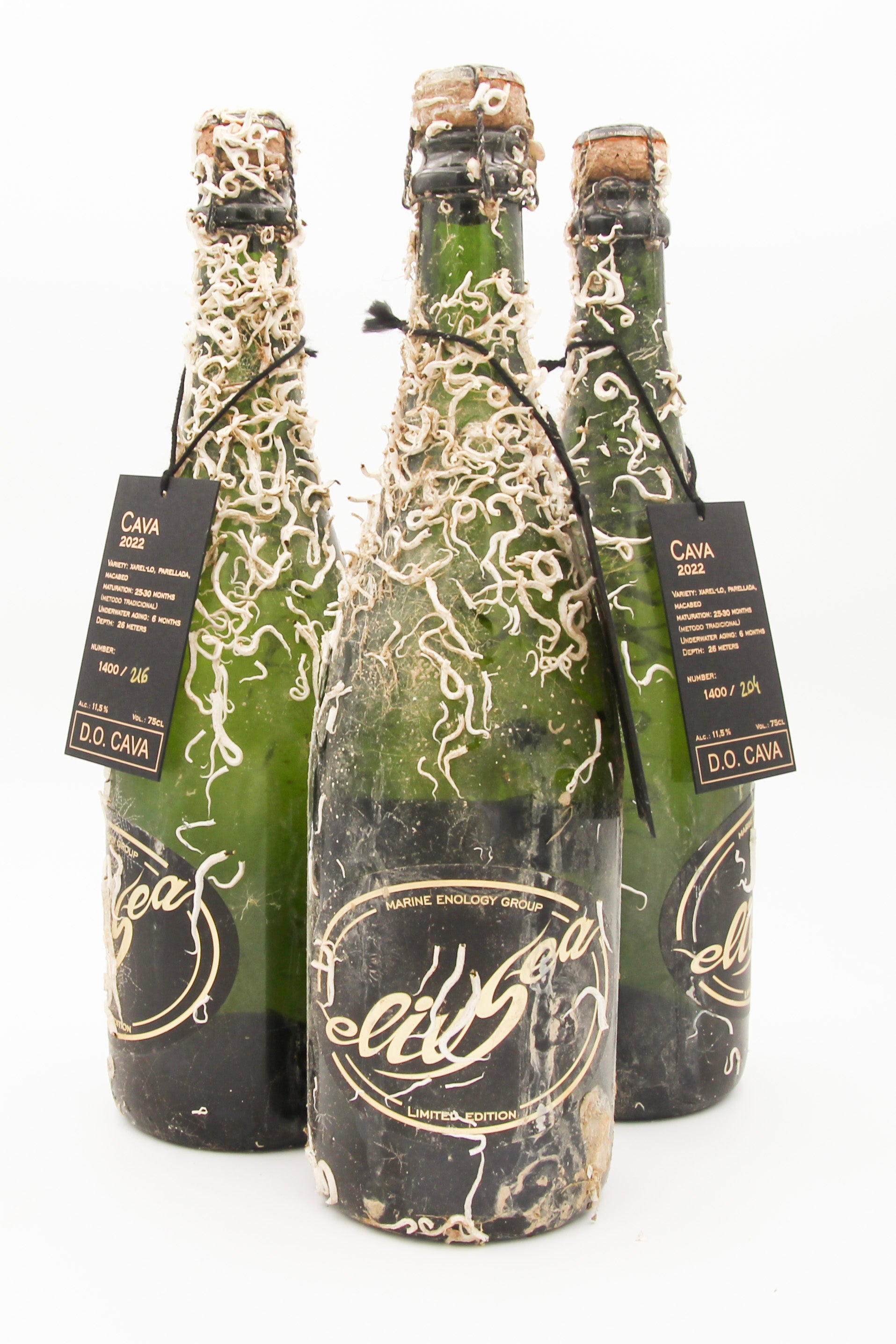 1/2 case: Cava Brut Nature Reserva (dry-sparkling)
