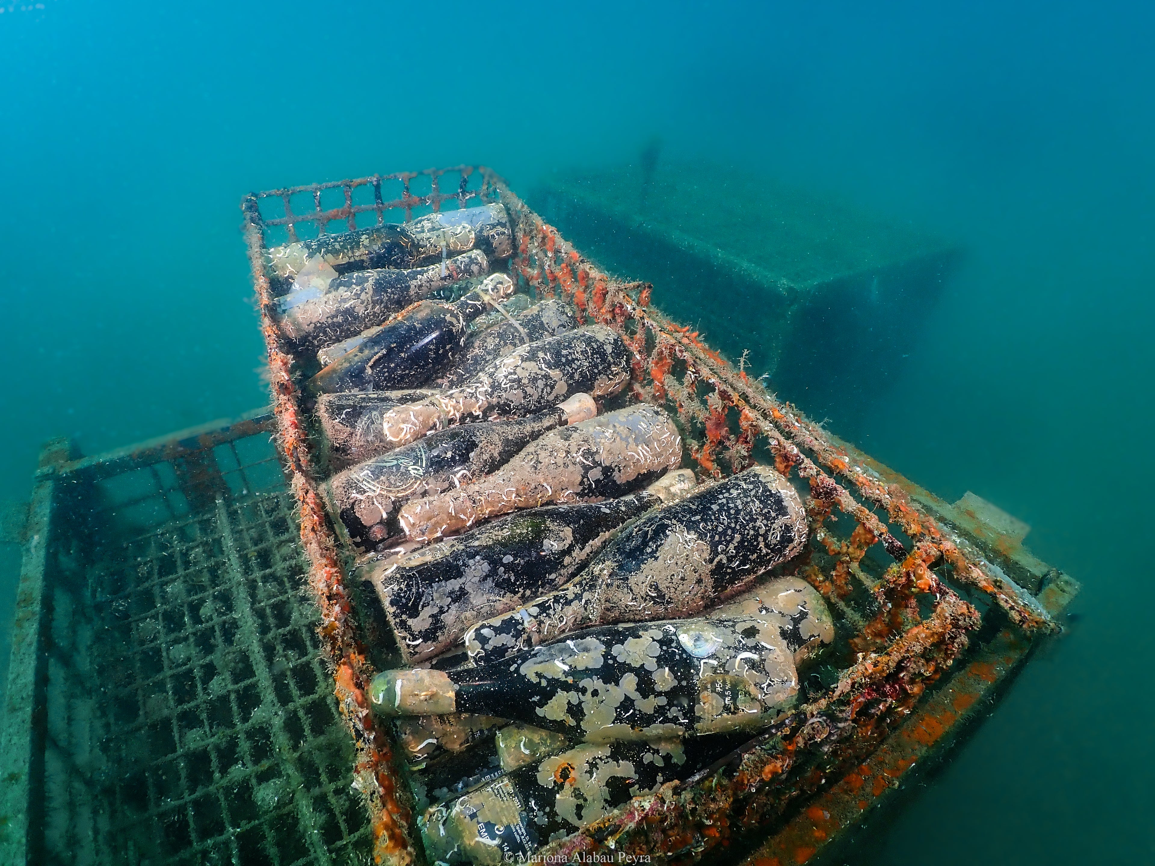 SeaStar 2022 D.O.Ca Priorat Red