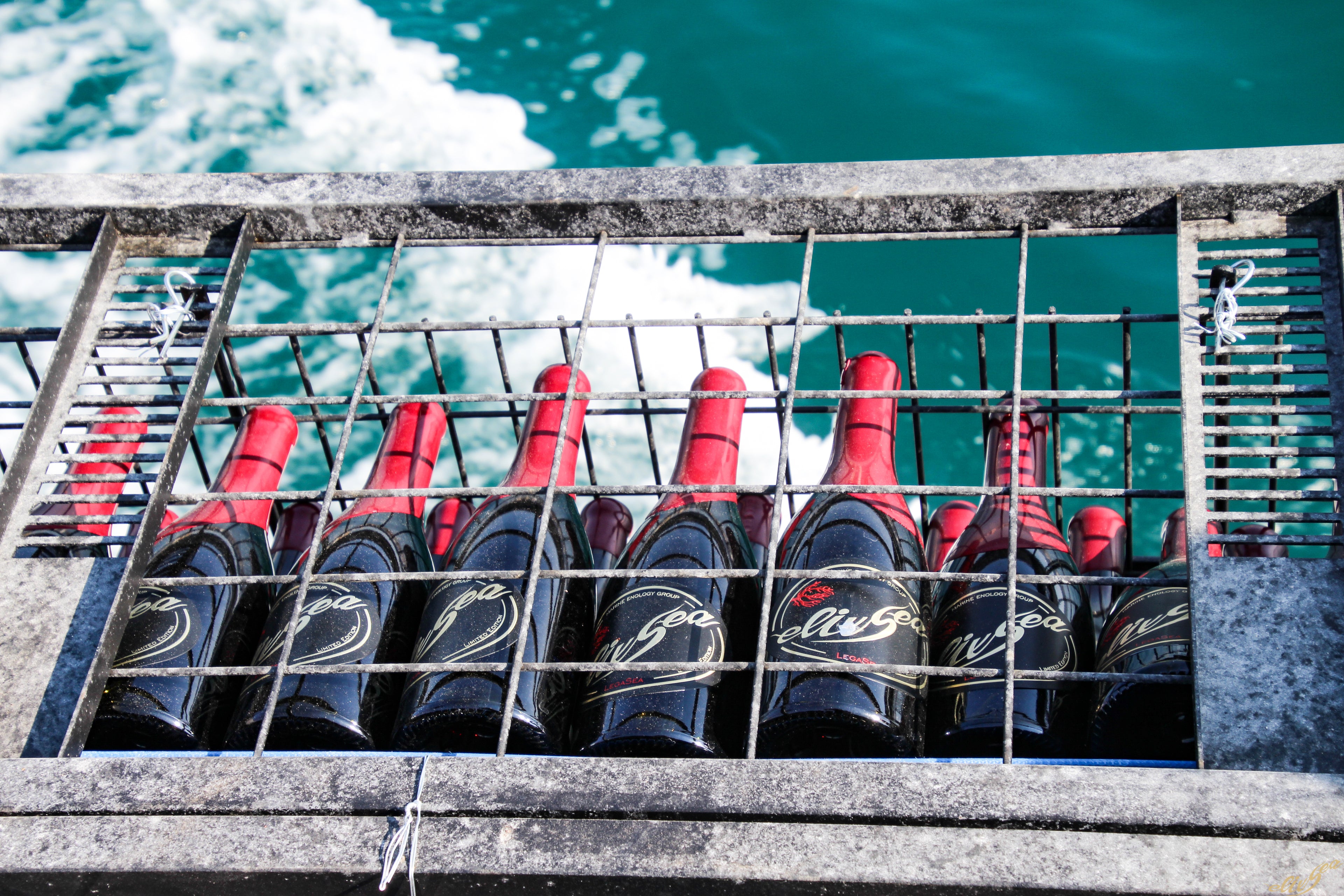LegaSea 2019 D.O.Ca Priorat
