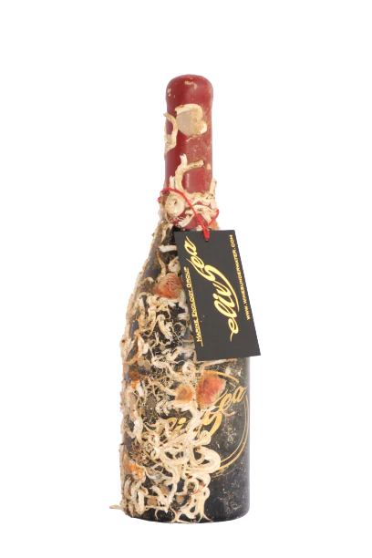 LegaSea 2022 D.O.Ca Priorat Red