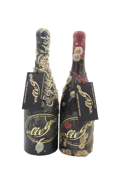 Priorat Tasting Pack