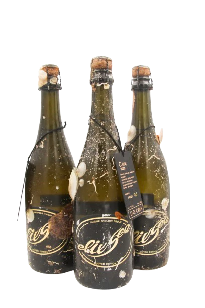 1/2 case: Cava Brut Nature Reserva (dry-sparkling)