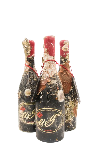 1/2 case: LegaSea- 2022 (dry red wine)